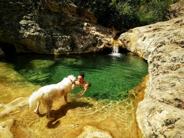 Casa de camp Cal Perdigues De Pet Friendly Boada